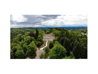Hochzeit: Feiern in der Natur auf Schloss Vasoldsberg. - Schloss Vasoldsberg