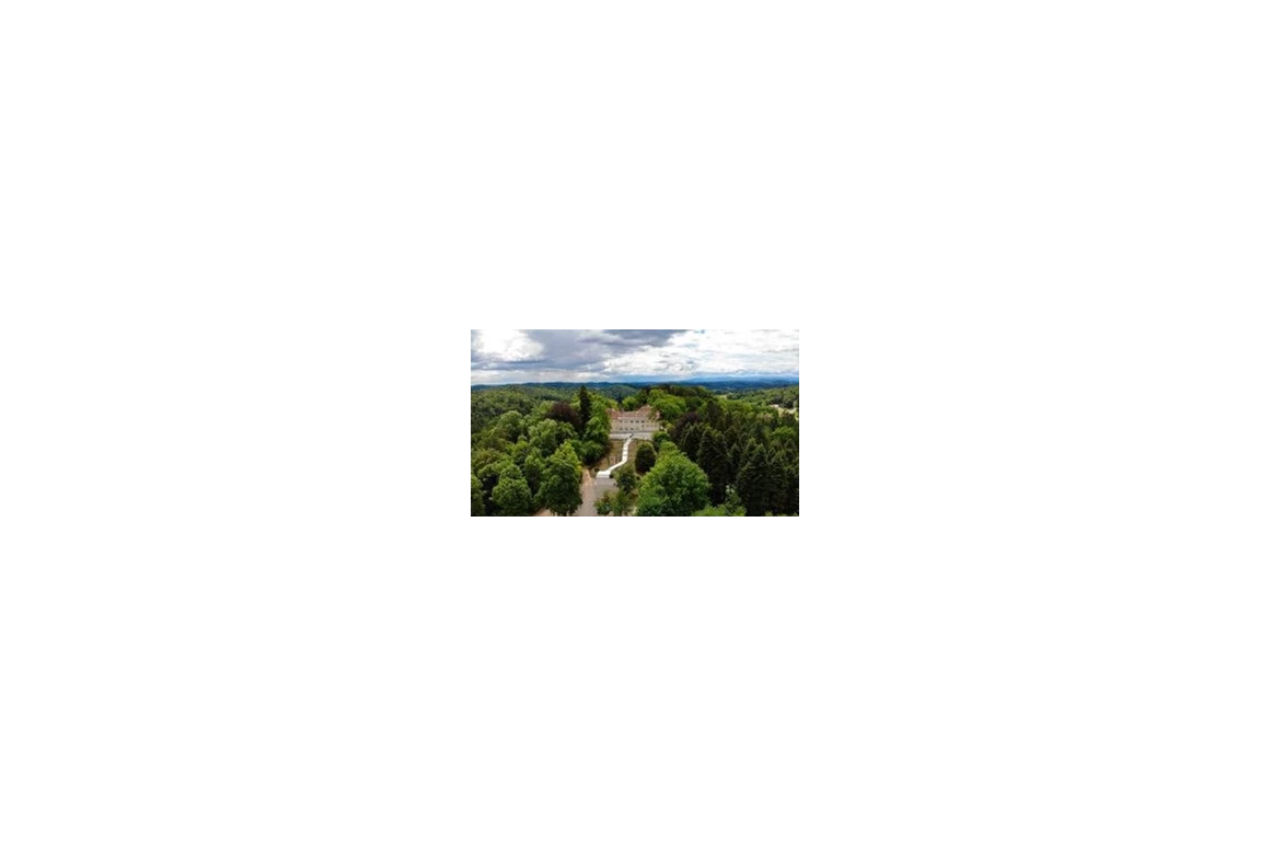 Hochzeit: Feiern in der Natur auf Schloss Vasoldsberg. - Schloss Vasoldsberg