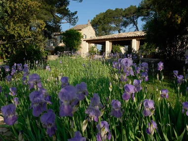 Hochzeit: Le Mas de la Rose