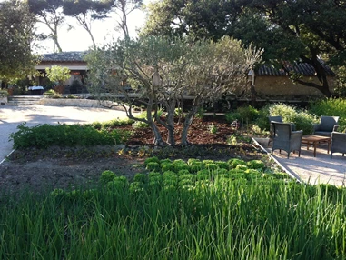 Hochzeit: Le Mas de la Rose