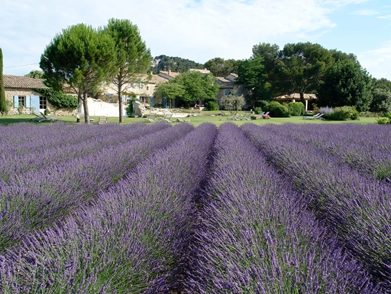 Hochzeit: Le Mas de la Rose