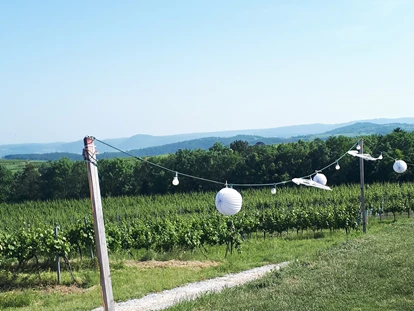 Wedding - Pottenbrunn - WEINGUT & WEINBLICK Grafinger