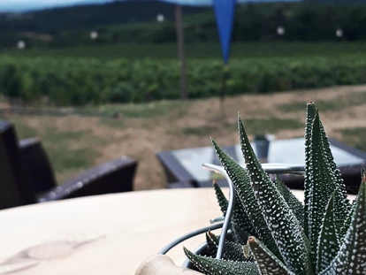 Wedding - Pottenbrunn - WEINGUT & WEINBLICK Grafinger