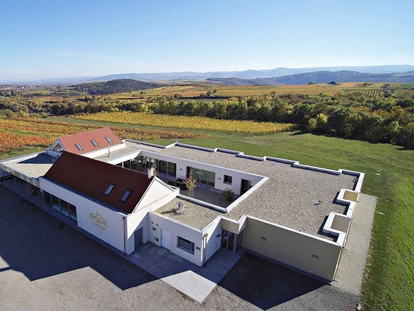 Wedding - Pottenbrunn - WEINBLICK Grafinger - WEINGUT & WEINBLICK Grafinger