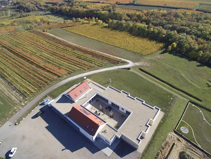 Wedding - Pottenbrunn - WEINGUT & WEINBLICK Grafinger
