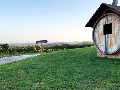 Wedding - Pottenbrunn - WEINGUT & WEINBLICK Grafinger