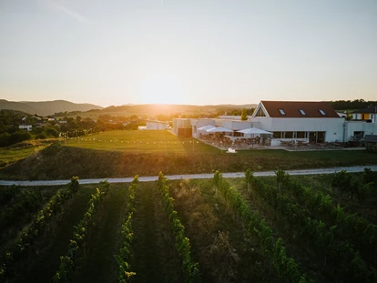 Wedding - Pottenbrunn - WEINGUT & WEINBLICK Grafinger