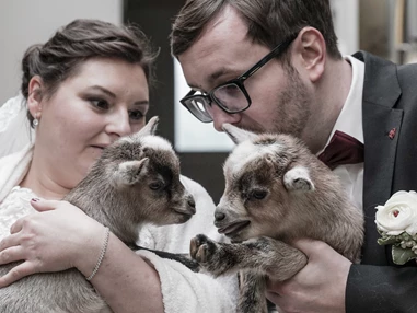 Hochzeitslocation: Zoologischer Garten Schwerin gGmbH