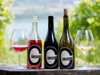 Hochzeit: Weingut Georgium
