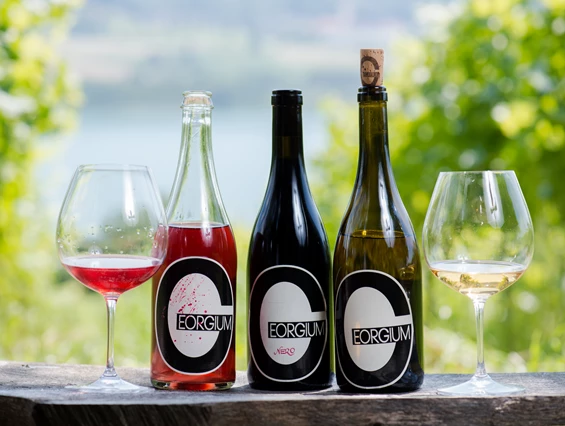 Hochzeit: Weingut Georgium