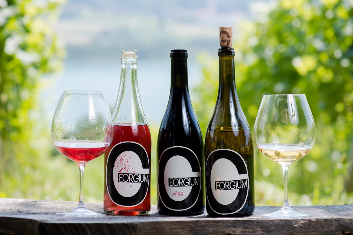 Hochzeit: Weingut Georgium