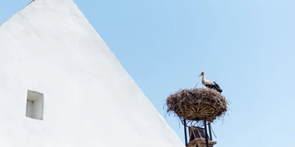 Bruiloft - Breitenbrunn (Breitenbrunn am Neusiedler See) - Und mit ein bischen Glück gibts auch bald Nachwuchs.
Foto (c) belleandsass.com - Gut Purbach