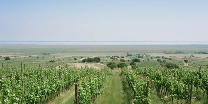 Bruiloft - Breitenbrunn (Breitenbrunn am Neusiedler See) - Feiern in den Weinbergen des Burgenlandes.
Foto (c) belleandsass.com - Gut Purbach
