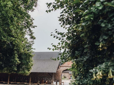 Hochzeitslocation: Alte Bäume spenden ausreichend Schatten für eure Hochzeitsgäste. - Gut Hermeshof