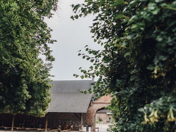 Hochzeitslocation: Alte Bäume spenden ausreichend Schatten für eure Hochzeitsgäste. - Gut Hermeshof