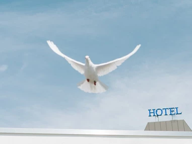 Hochzeit: Das Paladin - Best Western Queens Hotel