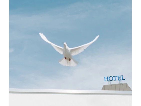 Hochzeit: Das Paladin - Best Western Queens Hotel