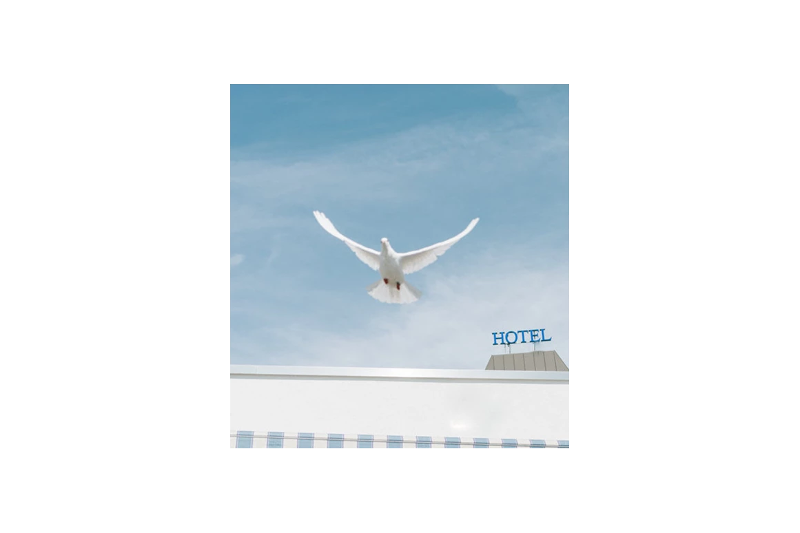 Hochzeit: Das Paladin - Best Western Queens Hotel
