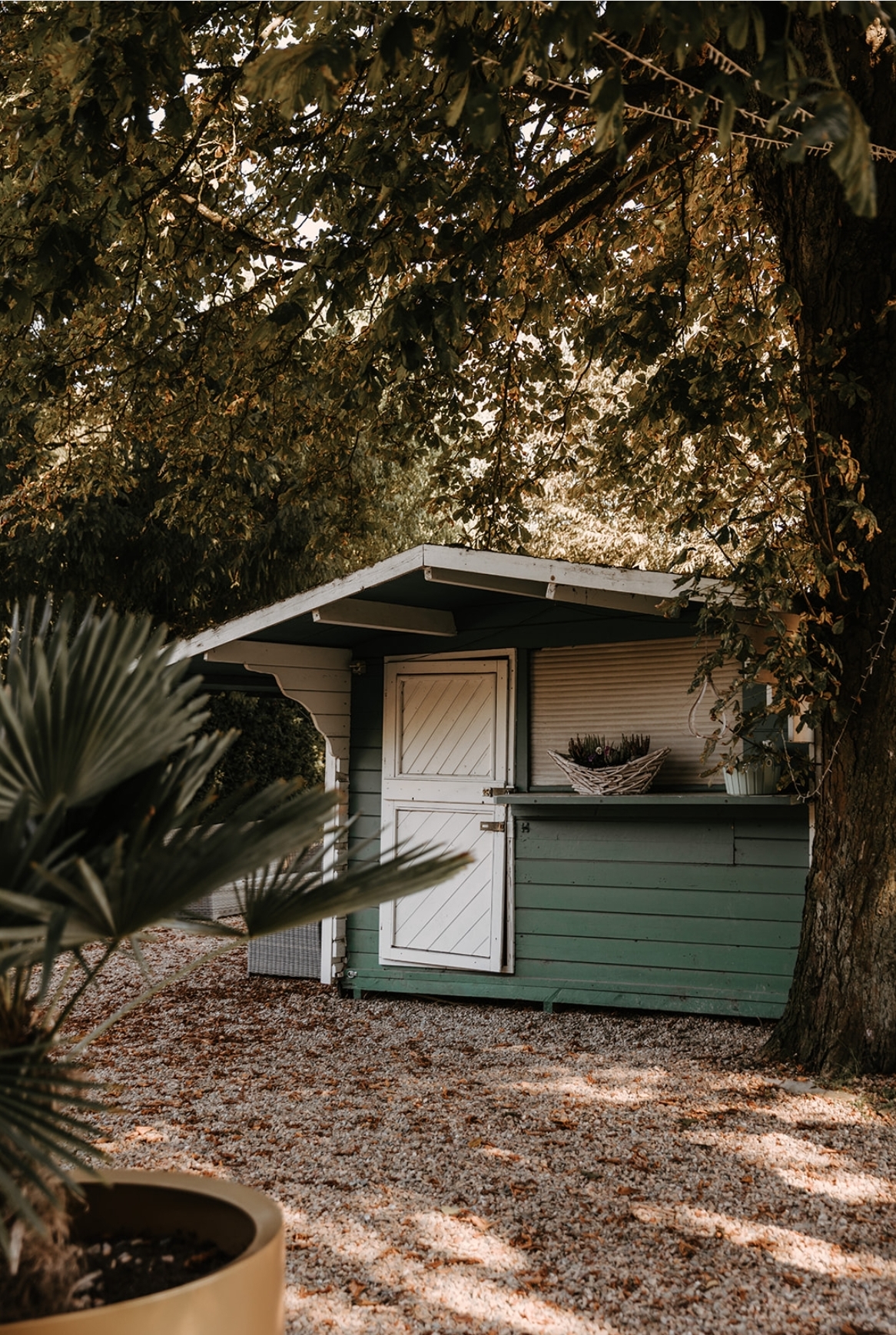 Hochzeit: Extrafein-Witten 