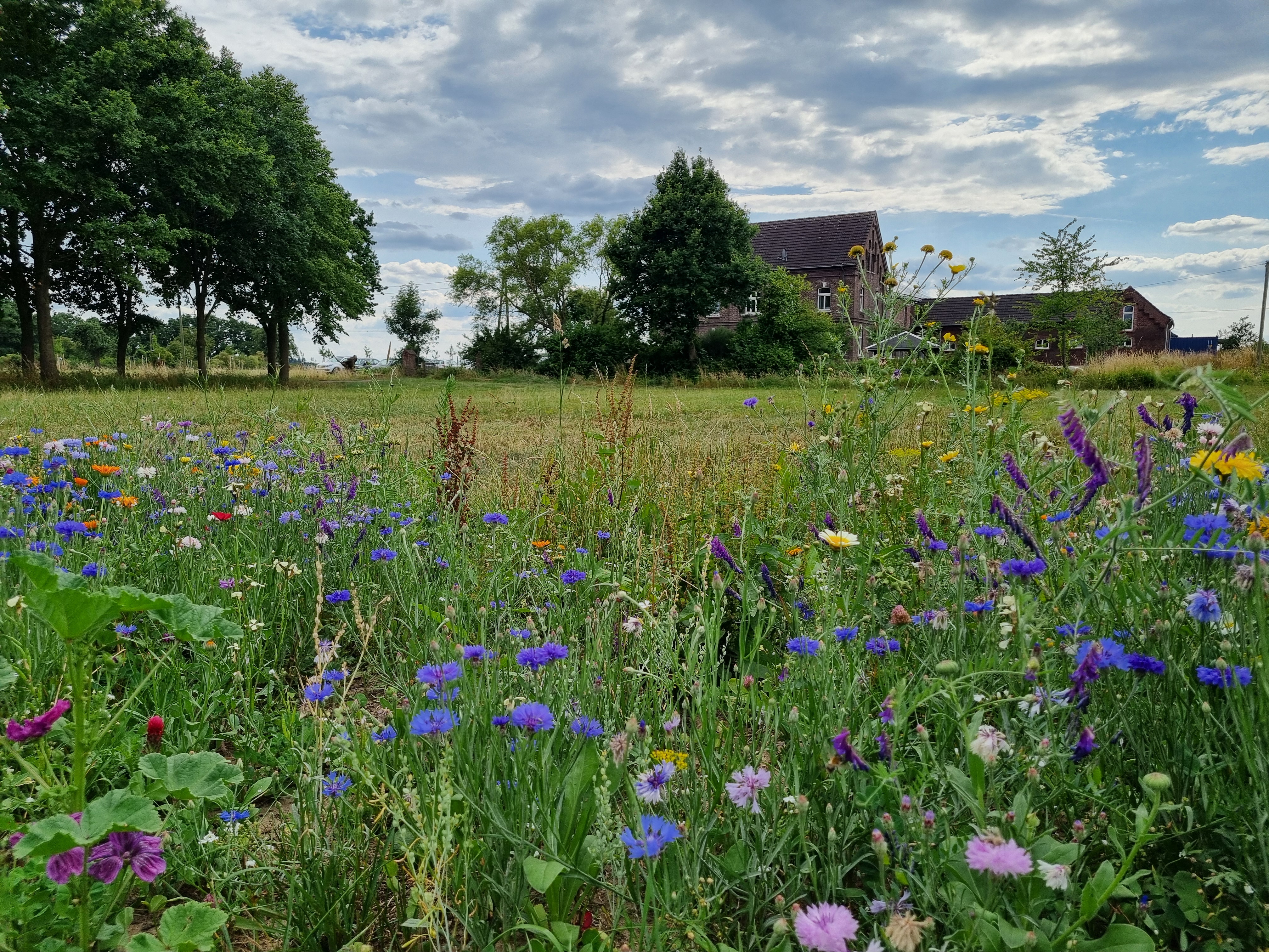 Hochzeit: Erlebnisbauernhöfe Rouenhof und Michelshof