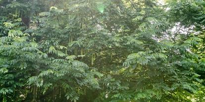 Wedding - Umgebung: am Meer - Festscheune Gut Helmstorf