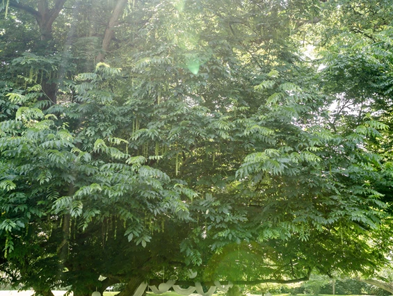 Hochzeitslocation: Festscheune Gut Helmstorf