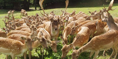 Mariage - Hefenhofen - Hirsch-Höckli Feiern mit Aussicht