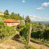 Hochzeitslocation - Villa Giarvino - das exklusive Gästehaus im Piemont