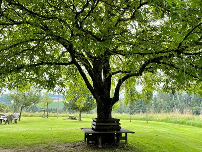 Matrimonio - Haslach an der Mühl - Unterm Nussbaum - Vedahof - Gramastetten