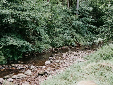 Hochzeit: Das angrenzende Bächlein sorgt für ganz besonderes Flair. - Landgasthof Heidersbacher Mühle