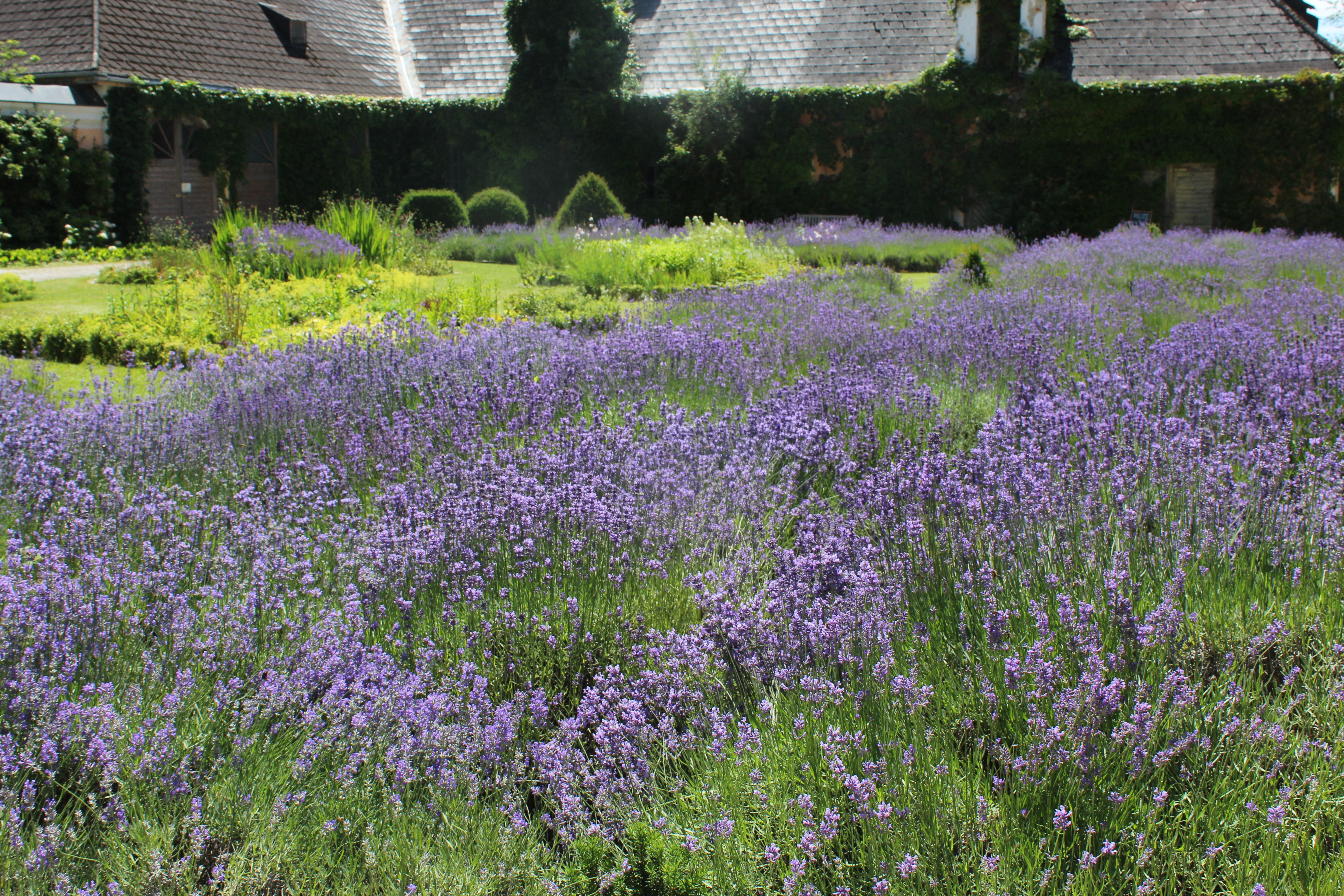 Hochzeit: Schloss Pfaffstätt