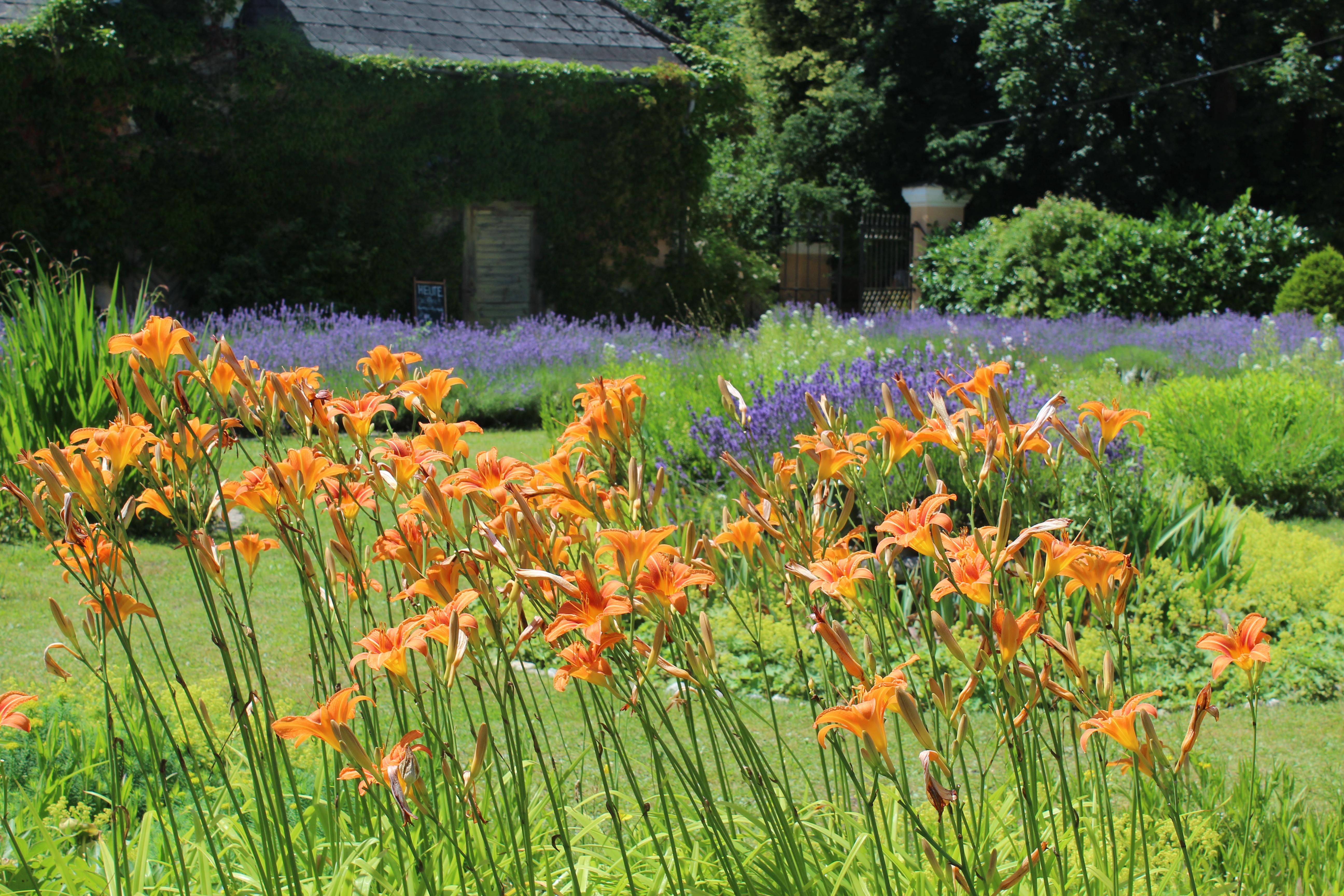 Hochzeit: Schloss Pfaffstätt