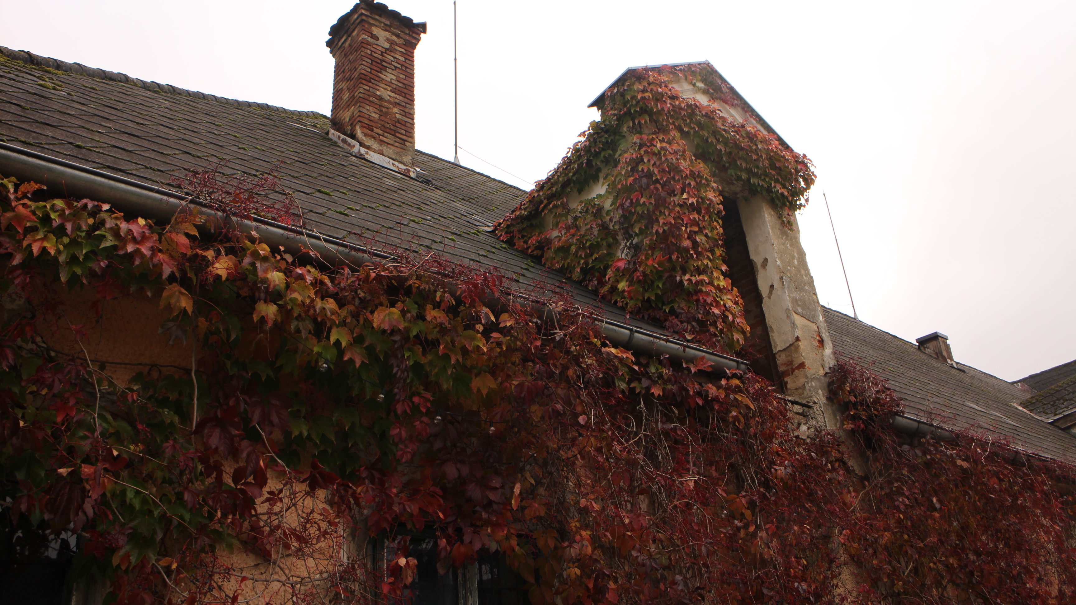 Hochzeit: Schloss Pfaffstätt