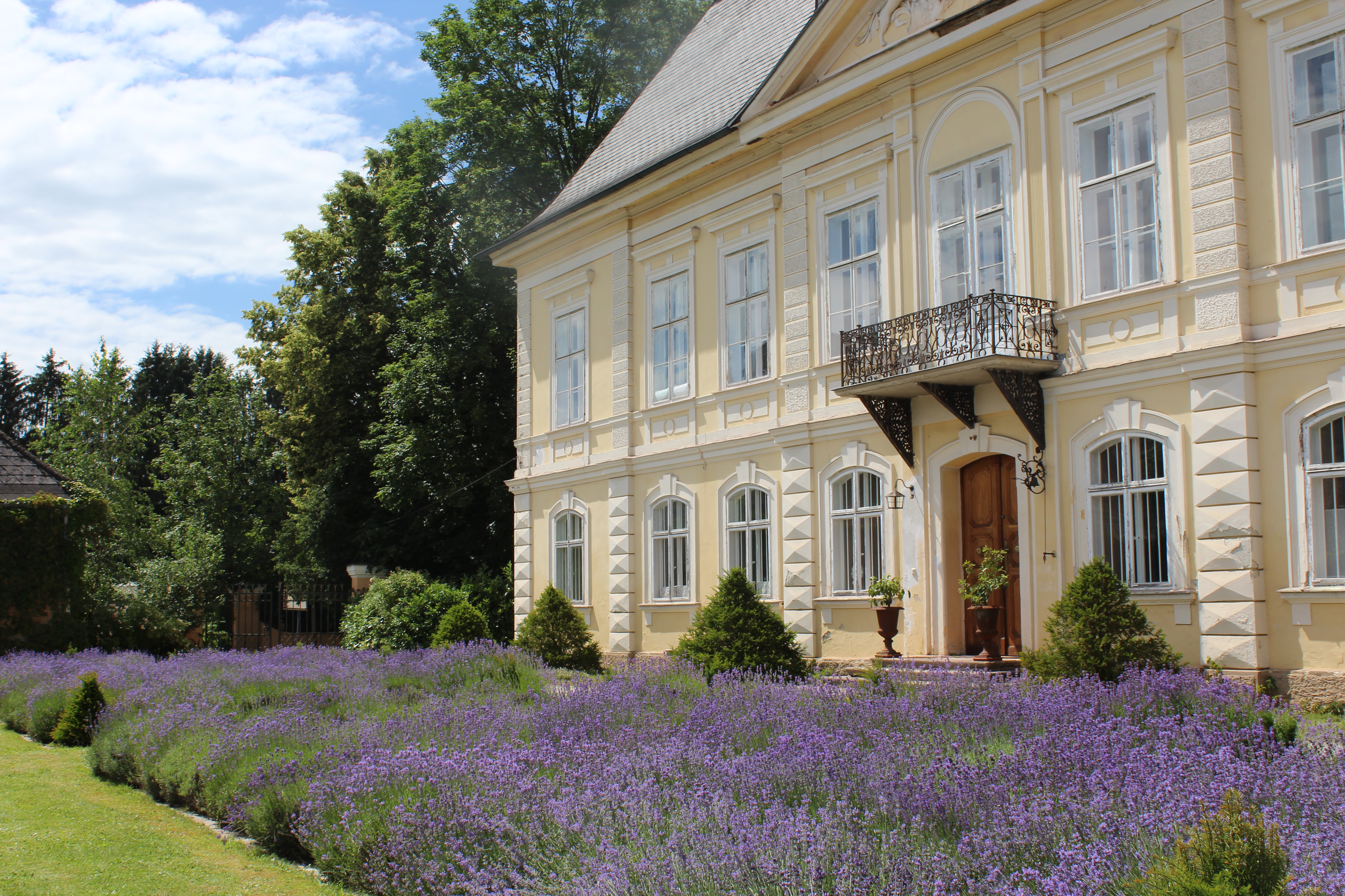 Hochzeitslocation: Schloss Pfaffstätten