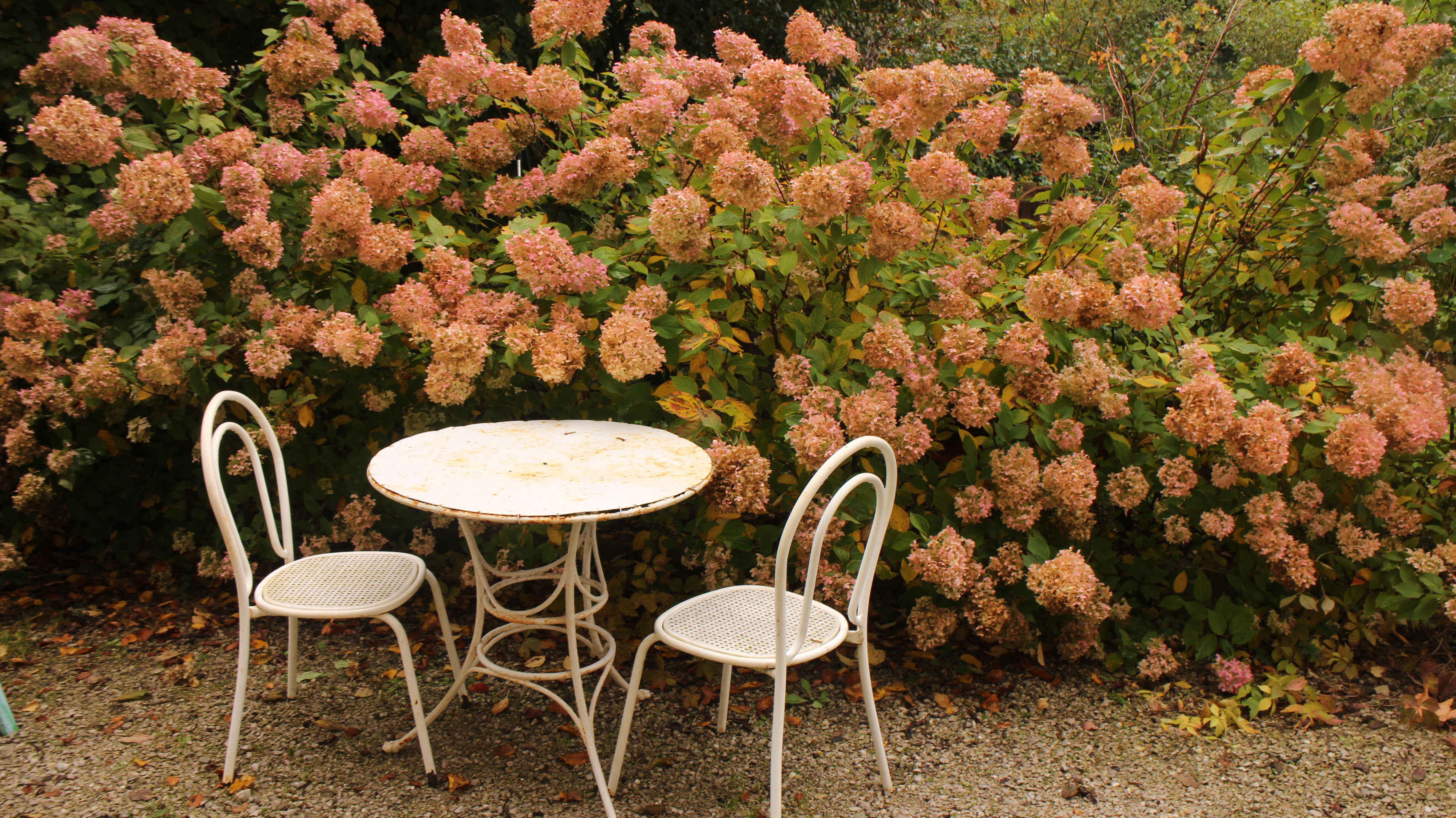 Hochzeitslocation: Schloss Pfaffstätten