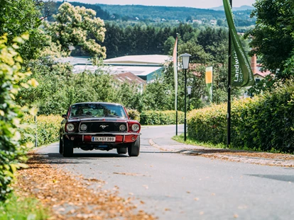 Hochzeit - Leutschach (Leutschach an der Weinstraße) - Wer nicht mit der Pferdekutsche zur Hochzeit fahren will - der nimmst einfach einen Mustang. Die Zufahrt bis zum Schloss ist möglich. - Schloss Stainz