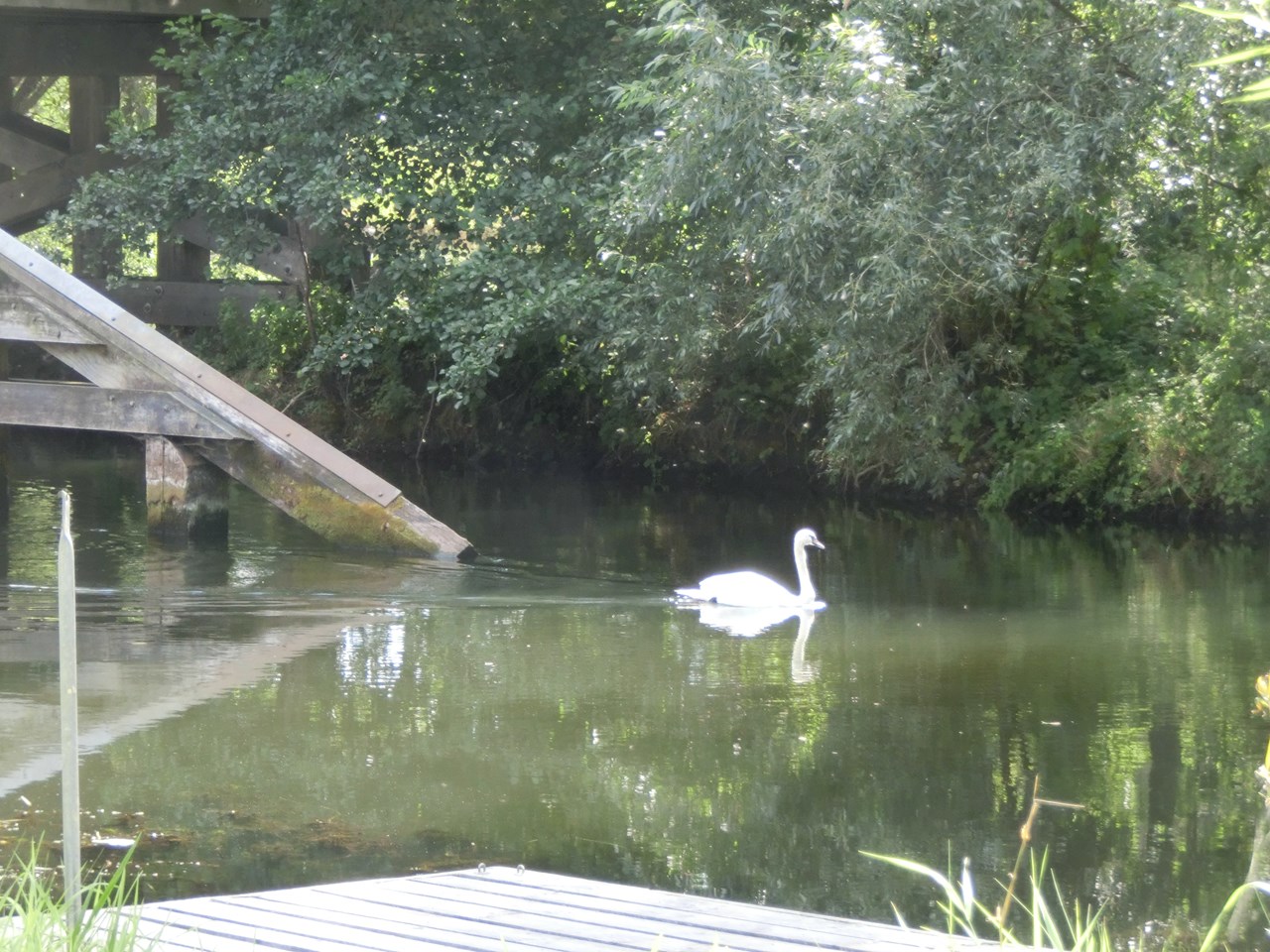Alte Försterei Information about the banquet halls Spree with jetty
