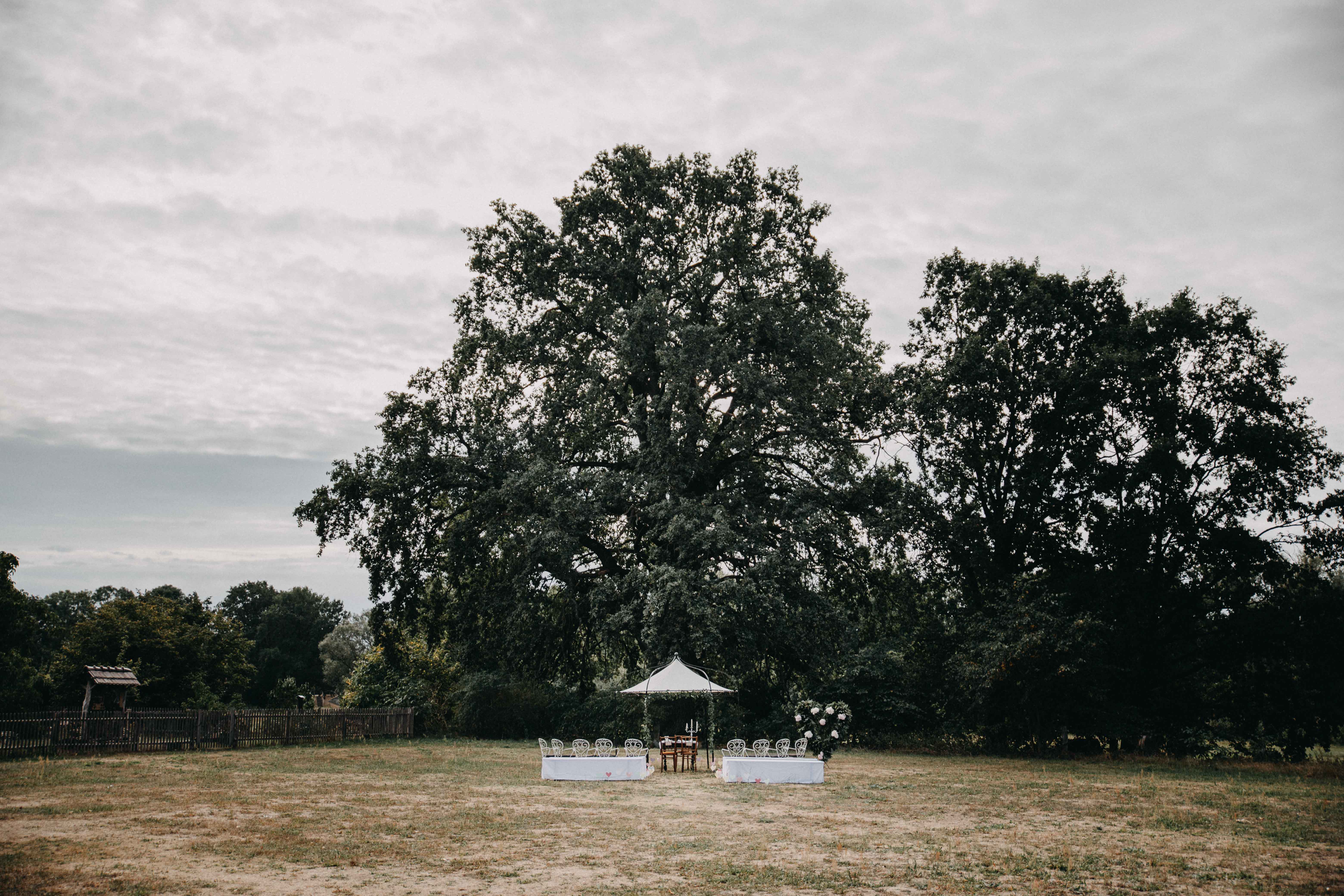 Hochzeit: Alte Försterei