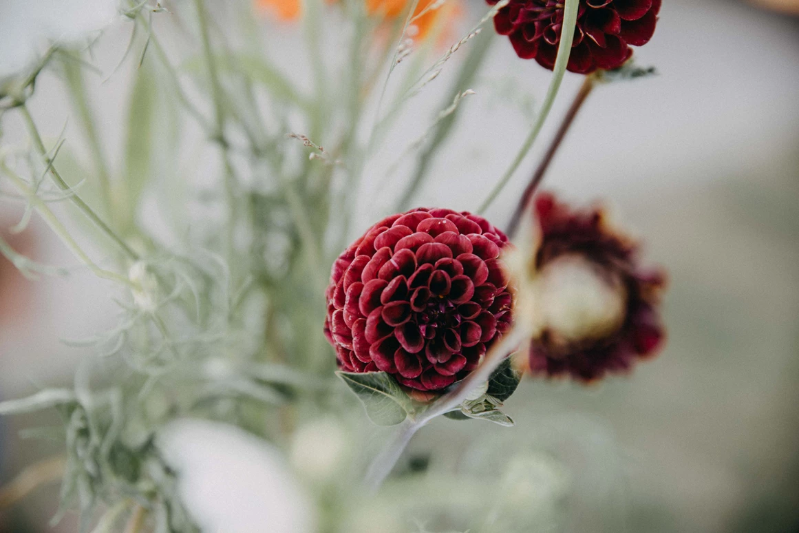 Hochzeitslocation: Zahlreiche Details machen jede Hochzeit auf Gutshaus Neukladow unvergesslich. - Gutshaus Neukladow