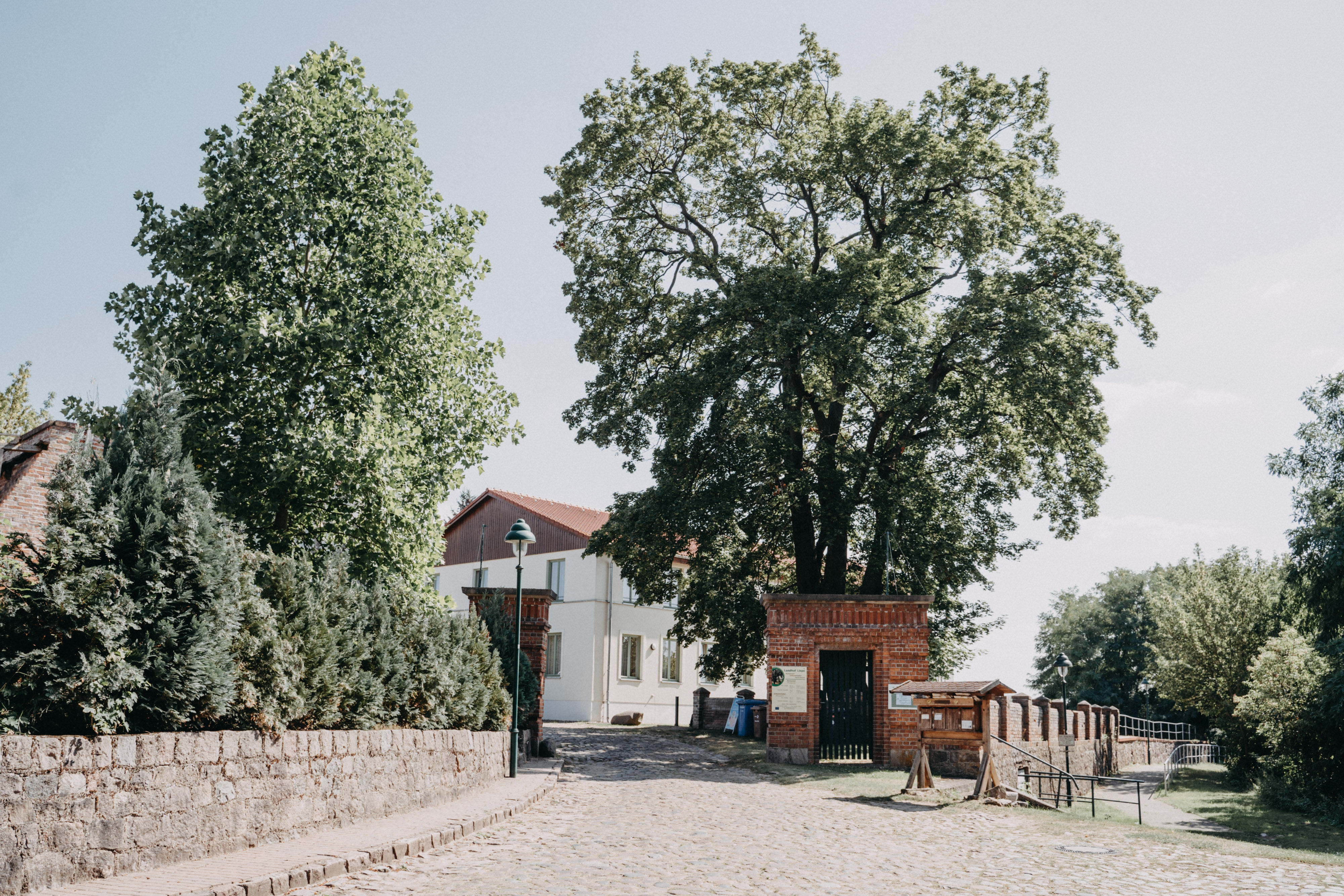 Bruiloft - Brandenburg - Mit Pferdekutsche oder Limosine zum Landhof Liepe. - Landhof Liepe