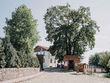 Hochzeitslocation: Mit Pferdekutsche oder Limosine zum Landhof Liepe. - Landhof Liepe