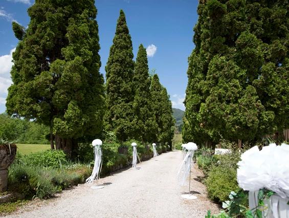 Hochzeit: Schlossallee - Schloss Wasserleonburg