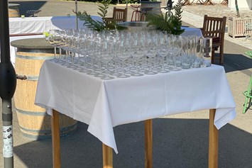 Hochzeit: Sektempfang im Hof - Bioweingut Bleyweis