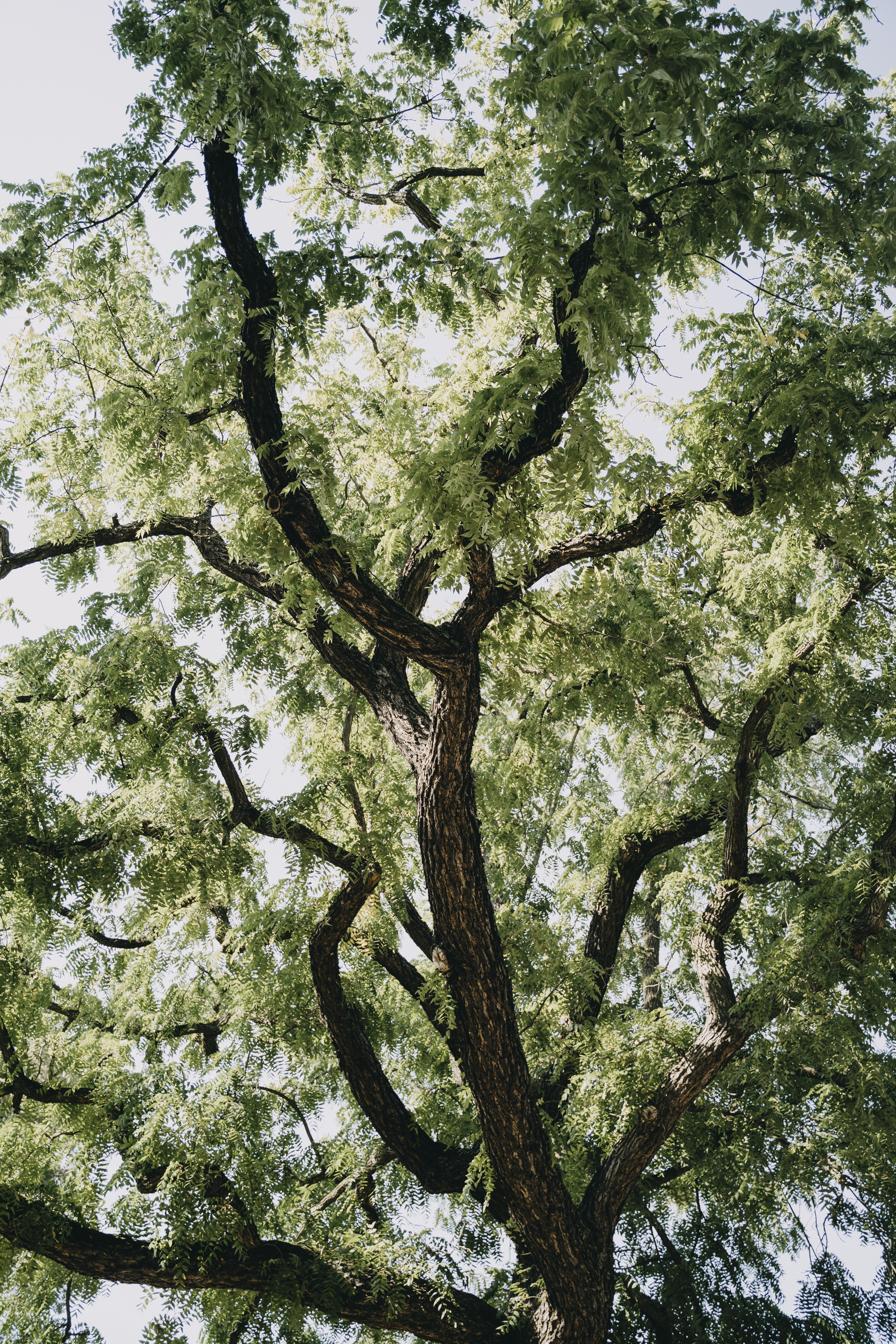 Hochzeitslocation: Schlosscafé Köpenick