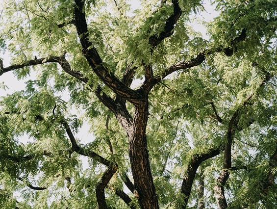 Hochzeitslocation: Schlosscafé Köpenick