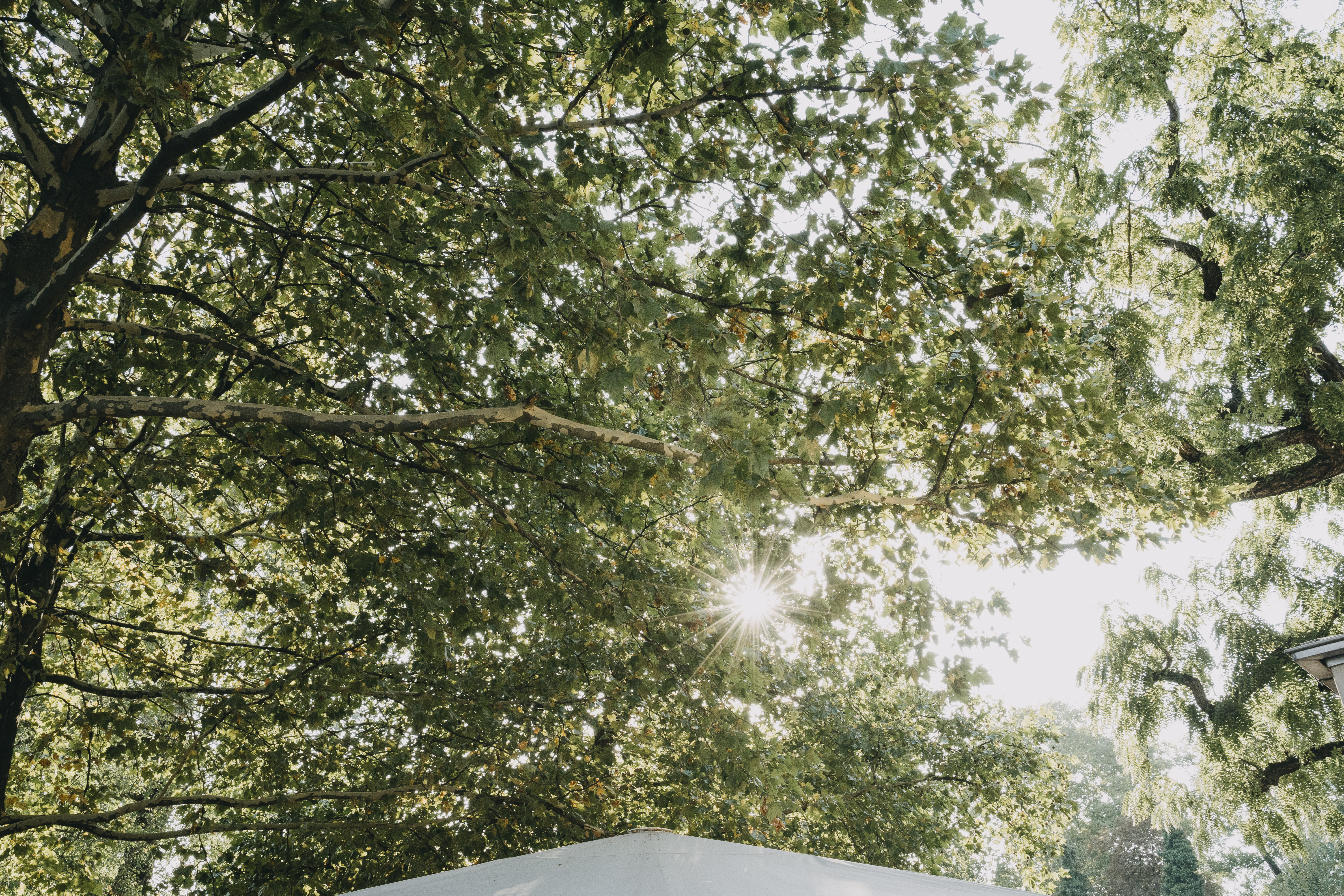 Hochzeitslocation: Schlosscafé Köpenick