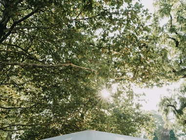 Hochzeitslocation: Schlosscafé Köpenick