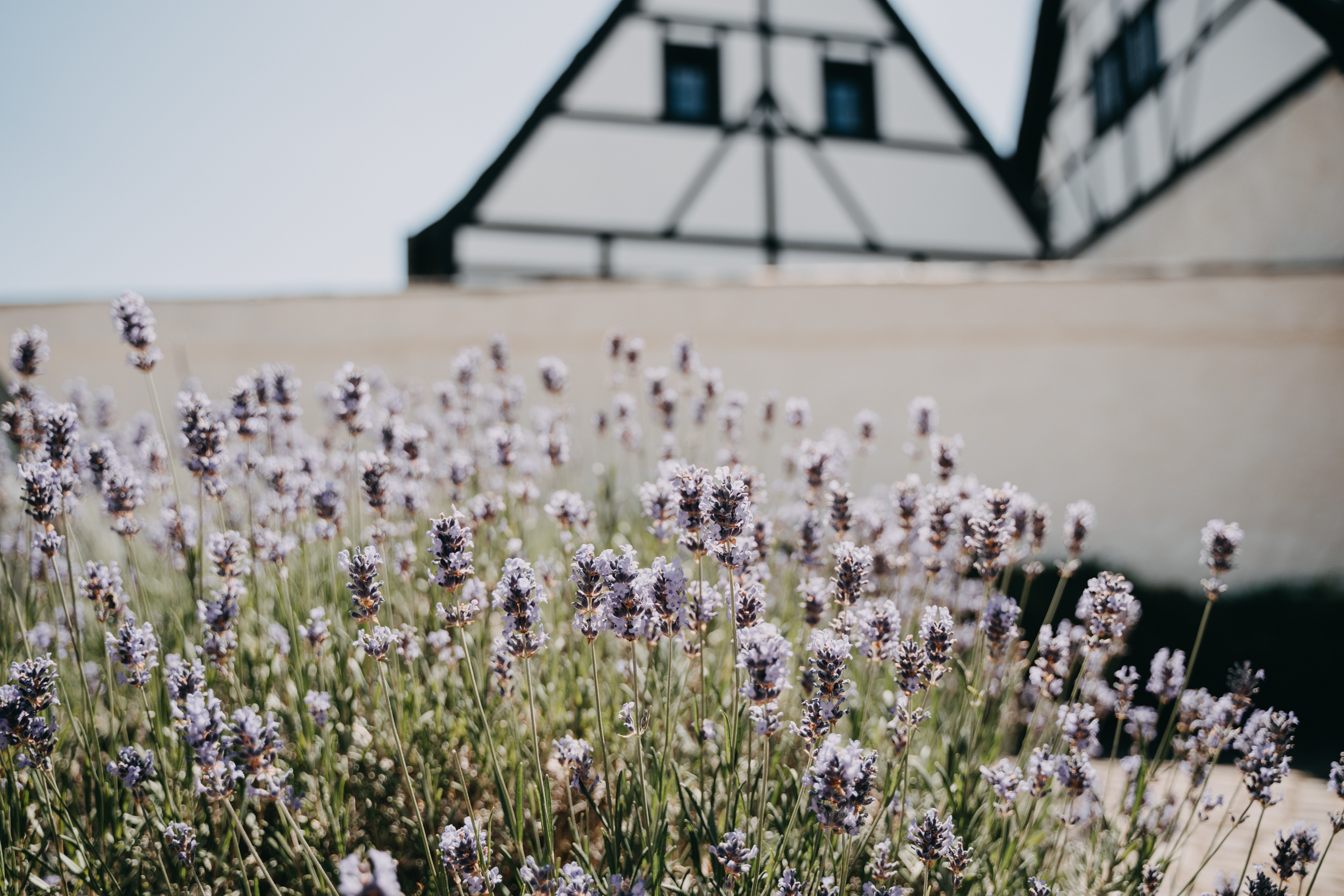 Hochzeit: Denkmalschmiede Höfgen