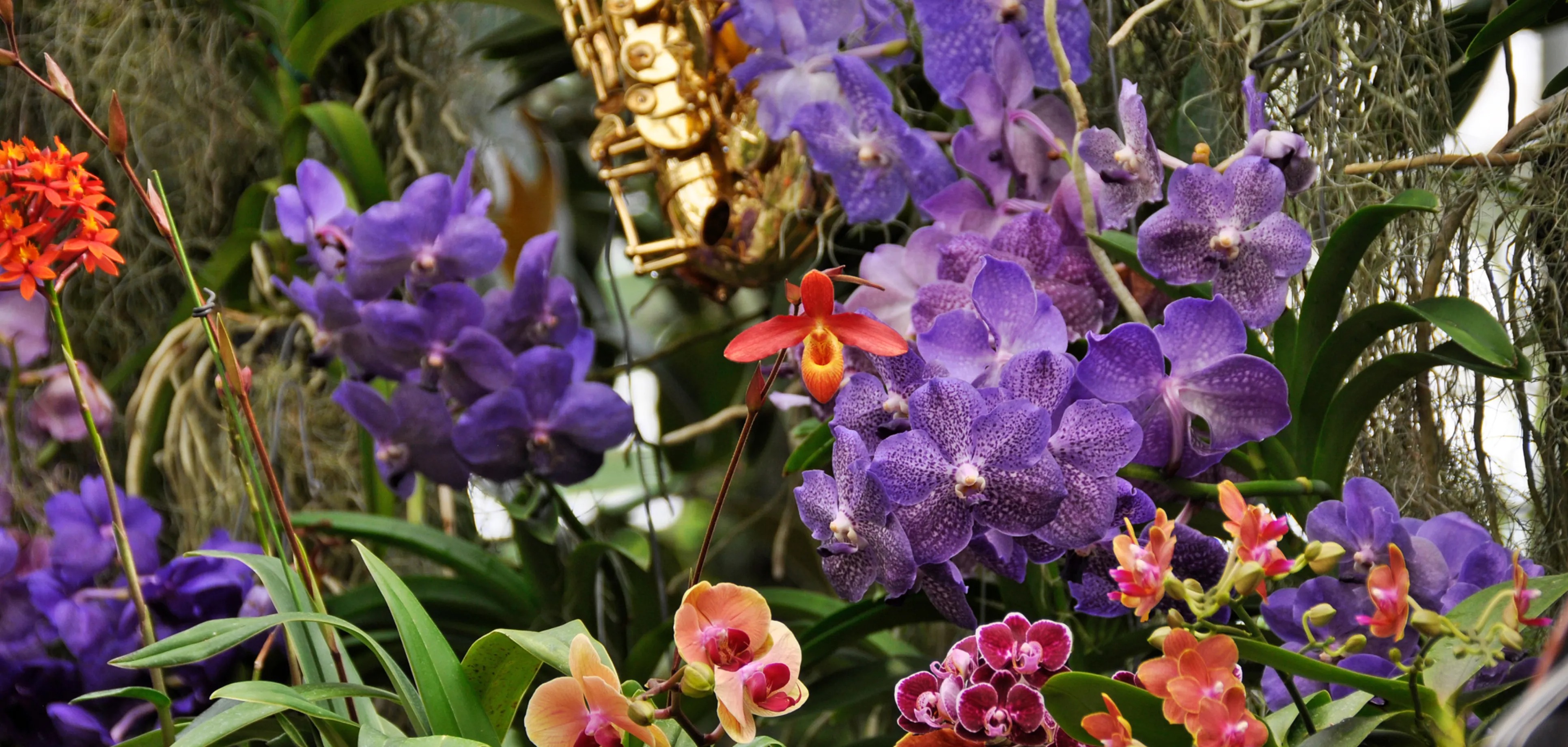 Mariage - Eschenz - Blumeninsel Mainau