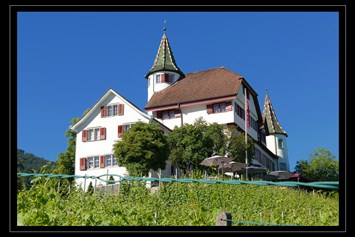 Hochzeit: Schloss Weinstein - Schloss Weinstein